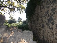 Acque Grandi